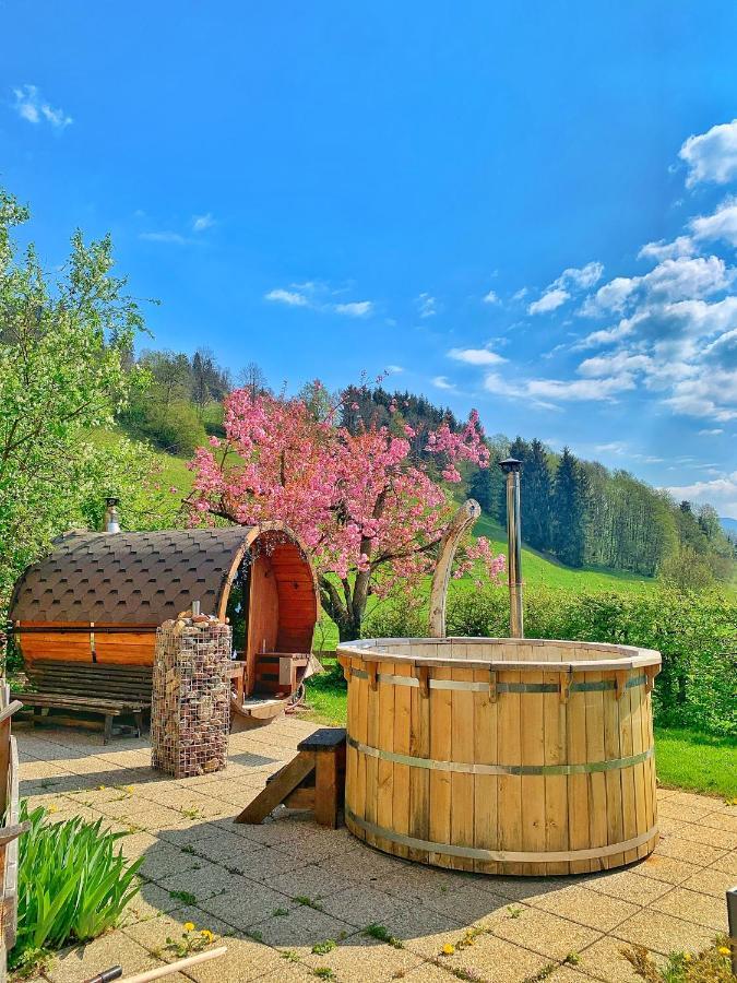 Hotel Garni Wieshof 티롤 키르흐베르크 외부 사진